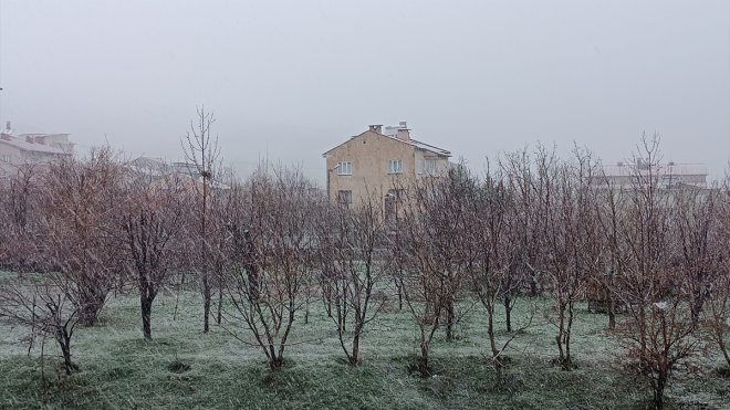 MUŞ - Yüksek kesimlerde kar etkili oldu (2)1