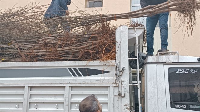 Tunceli'de atıl araziler meyve fidanlarıyla üretime kazandırılıyor