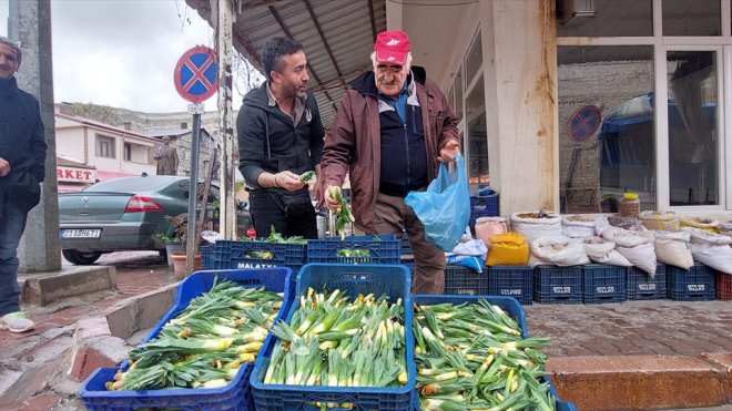 Tunceli'de dağlardan toplanan çiriş otu tezgahlardaki yerini aldı