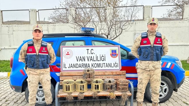 Van'da jandarmanın ele geçirdiği 8 keklik ekiplere teslim edildi