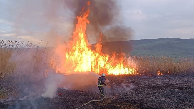 VAN - Sazlıkta çıkan yangın söndürüldü1