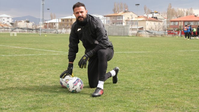Vanspor