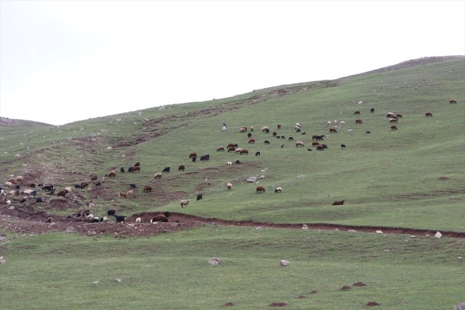 ağırlıyor 50 - doğa şelale yükseklikten AĞRI akan tutkunlarını metre 7