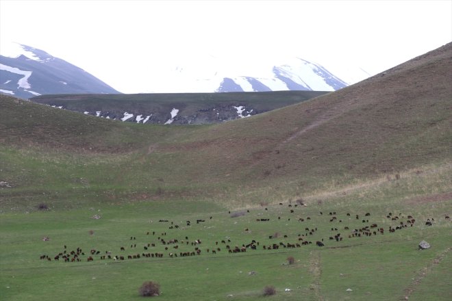 tutkunlarını 50 AĞRI ağırlıyor metre - yükseklikten akan şelale doğa 8