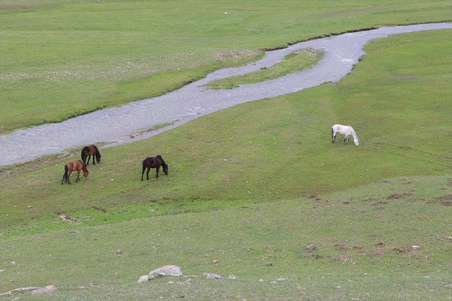AĞRI akan şelale metre doğa yükseklikten tutkunlarını ağırlıyor 50 - 10