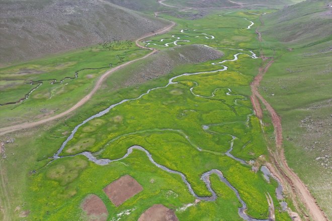 renkleri baharın kendini gösterdi Ağrı