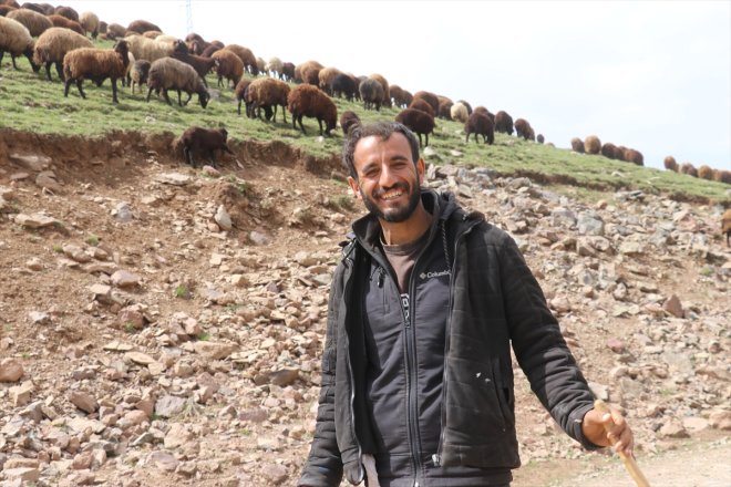 ağırlıyor Yaylası bürünen - hayvan küçükbaş sürülerini Yeşile Sinek AĞRI 10