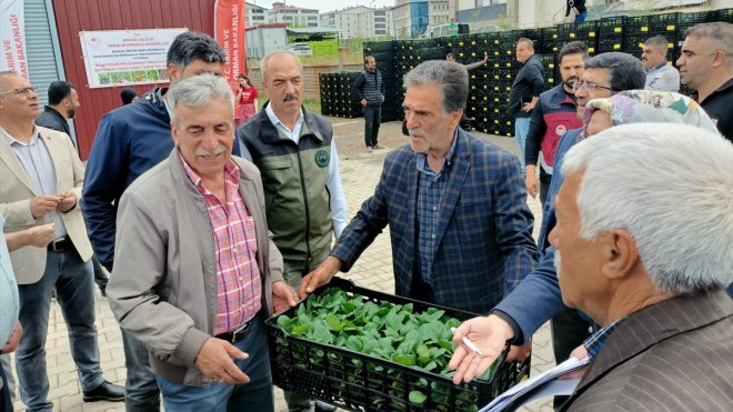 Bingöl'de çiftçilere yüzde 75 hibe ile 630 bin sebze fidesi dağıtıldı
