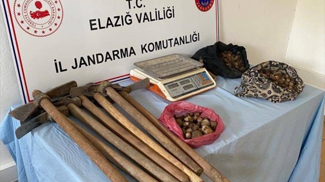Elazığ'da kaçak salep soğanı toplayan 4 kişiye ceza kesildi