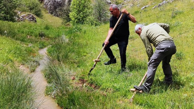 Elazığ'da kaçak salep soğanı toplayan 6 kişiye 1 milyon 464 bin lira ceza kesildi