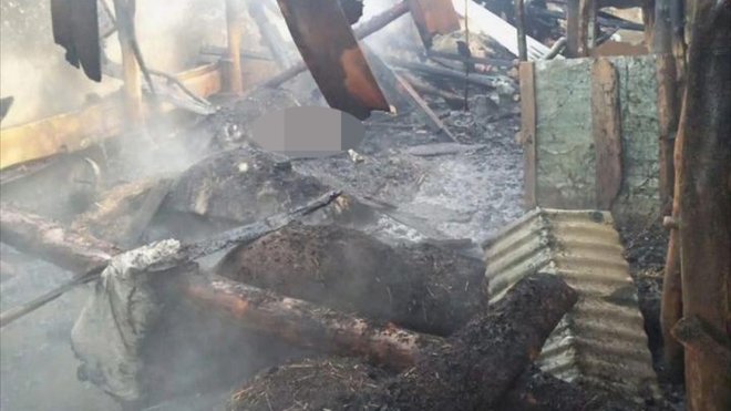 Erzurum'da ahırda çıkan yangında 20 büyükbaş hayvan telef oldu