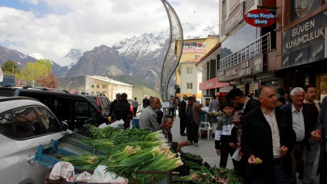 Hakkari'de dağdan toplanan otlar gelir kapısı oldu