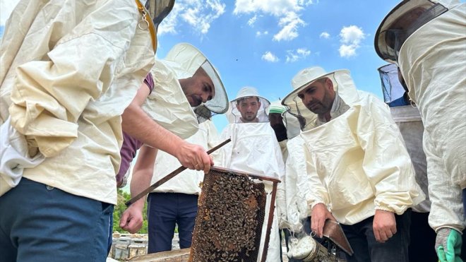 Hakkari'de arıcılık kursu düzenlendi
