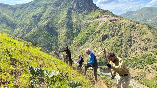 HAKKARİ - Şemdinli