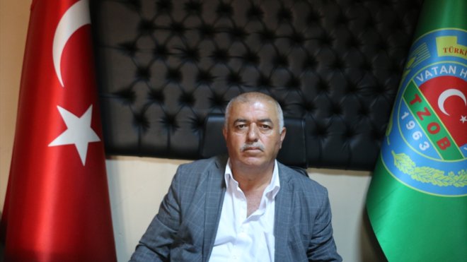 Hekimhan'da doludan etkilenen tarım alanlarında hasar tespit çalışması başlatıldı