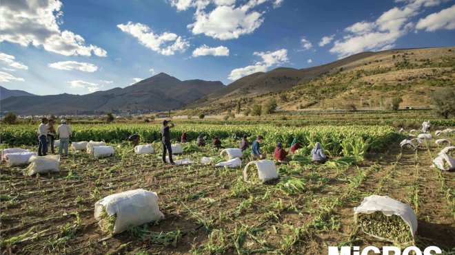 Migros deprem bölgesinden 300 ton ürün alacak