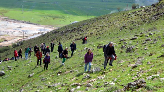 Trabzon'dan Muş'a gelen fotoğraf tutkunları çiçek açan laleleri görüntüledi