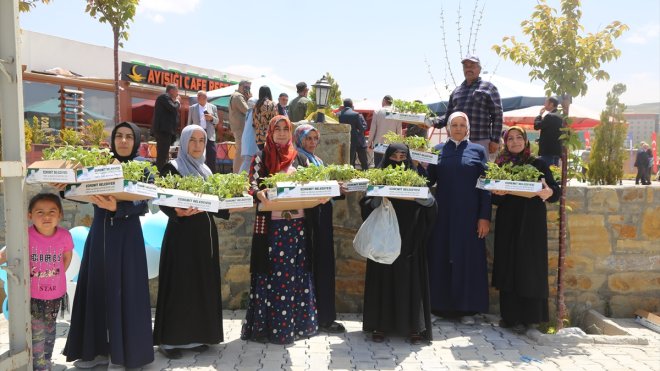 Van'da çiftçilere 250 bin sebze fidesi dağıtıldı