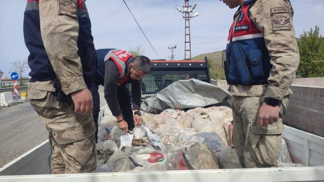 Van'da kaçak avlanan 3 ton inci kefali ele geçirildi