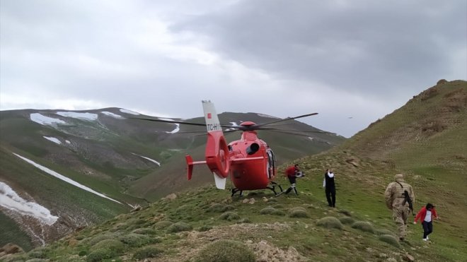 Van'da yıldırım düşmesi sonucu yaralanan 2 çoban, ambulans helikopterle hastaneye ulaştırıldı
