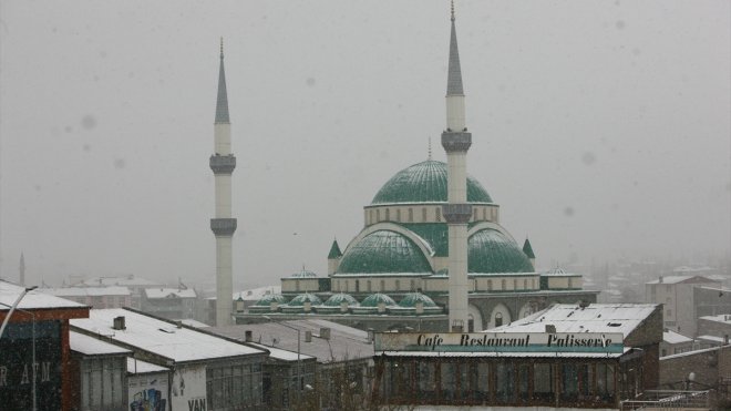 Özalp'ta dolu etkili oldu