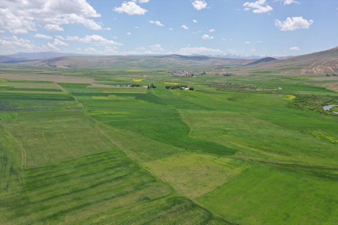 hakim renkleri çevresinde (DRON) - Nehri