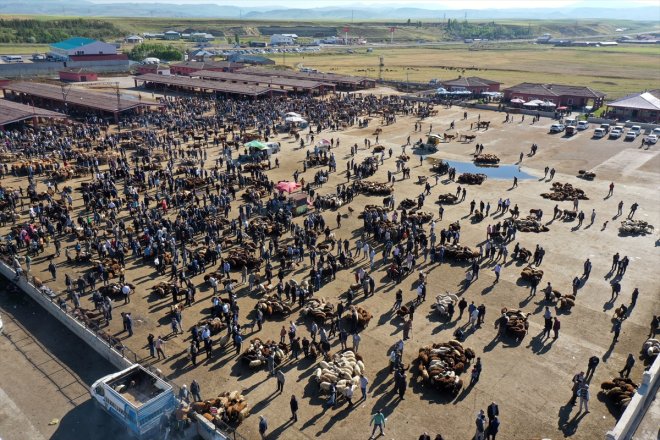 Ağrı Hayvan Borsası'nda Kurban Bayramı yoğunluğu yaşanıyor
