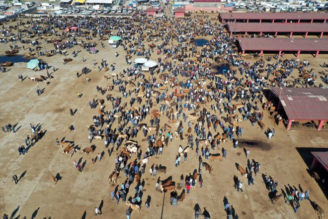 Ağrı Kurban yaşanıyor Borsası