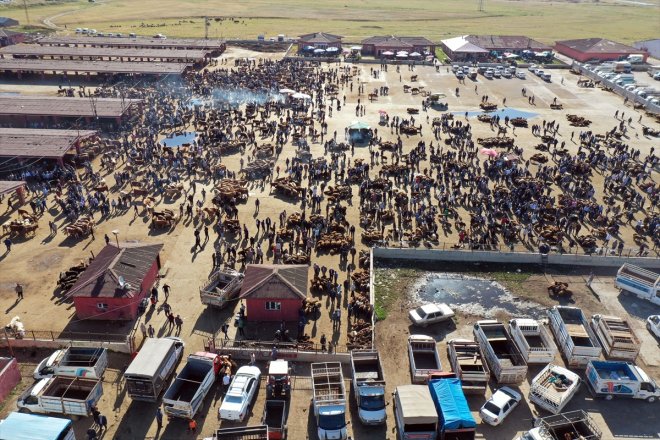 Bayramı yaşanıyor yoğunluğu Hayvan Kurban Ağrı Borsası