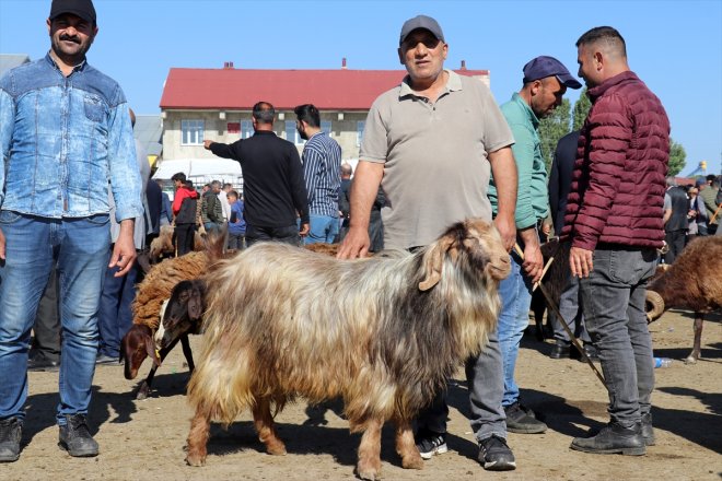 Ağrı yoğunluğu Bayramı yaşanıyor Borsası
