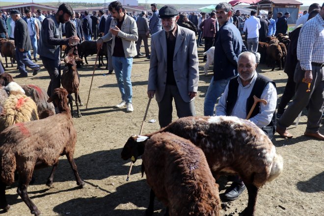 yoğunluğu yaşanıyor Ağrı Hayvan Borsası