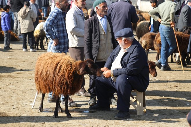 Kurban - Bayramı Hayvan AĞRI hareketliliği borsasında yaşanıyor 2