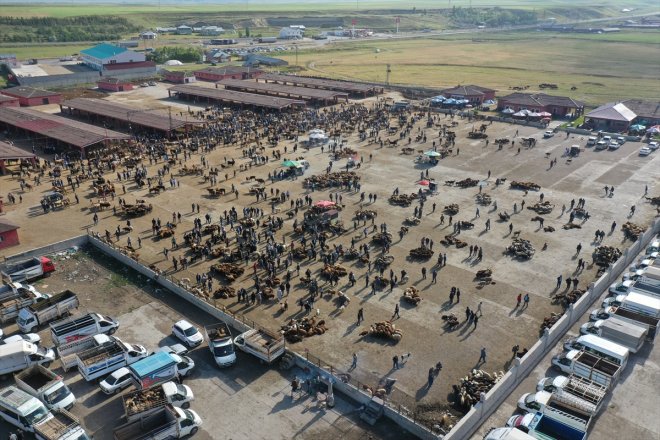 yaşanıyor - Hayvan Kurban hareketliliği Bayramı AĞRI borsasında 11