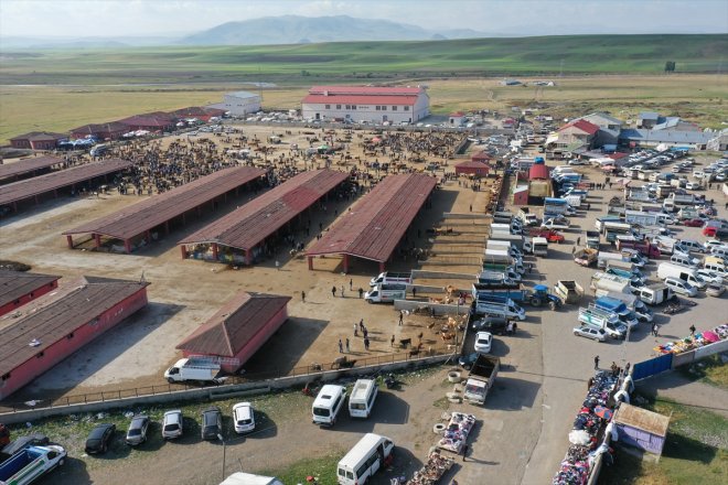 AĞRI borsasında hareketliliği - Kurban yaşanıyor Hayvan Bayramı 6