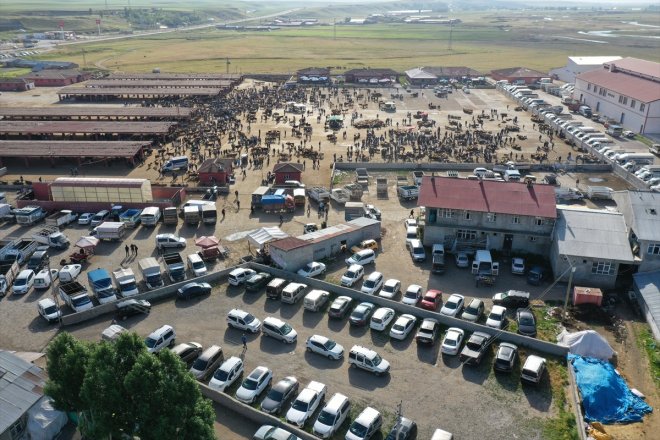 - yaşanıyor borsasında Hayvan hareketliliği Kurban AĞRI Bayramı 9