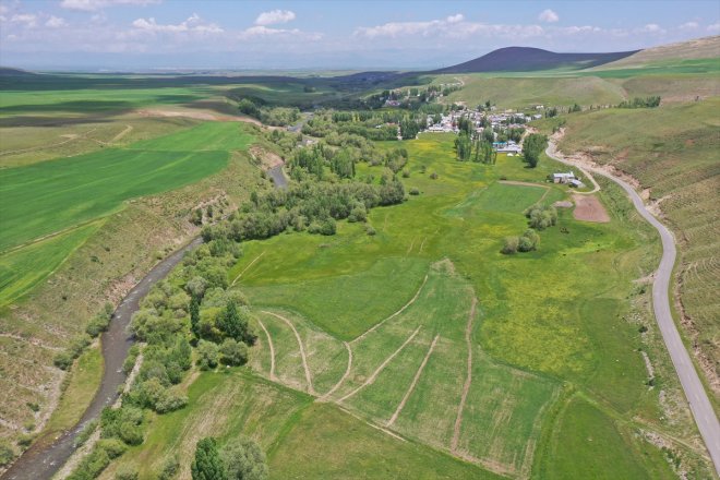 balı Yağışlarla geven yaylalarda mesaisi bereketlenen AĞRI - başladı 13