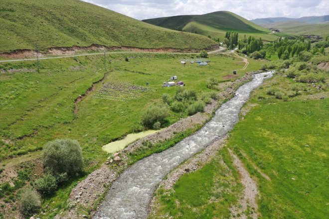 AĞRI Yağışlarla mesaisi yaylalarda bereketlenen geven balı - başladı 20