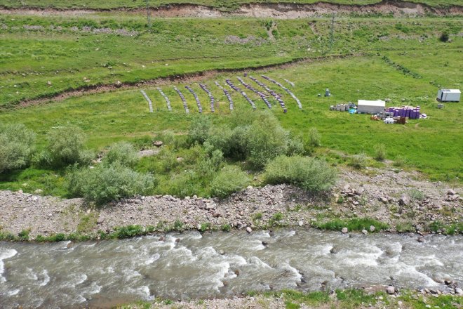 AĞRI balı başladı Yağışlarla bereketlenen yaylalarda geven mesaisi - 4