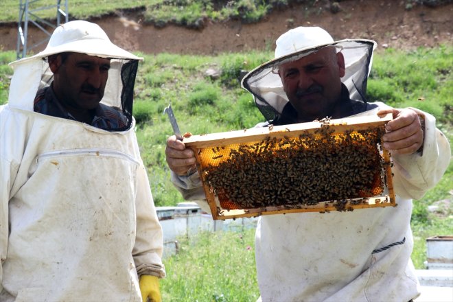 başladı bereketlenen mesaisi geven - yaylalarda balı AĞRI Yağışlarla 7