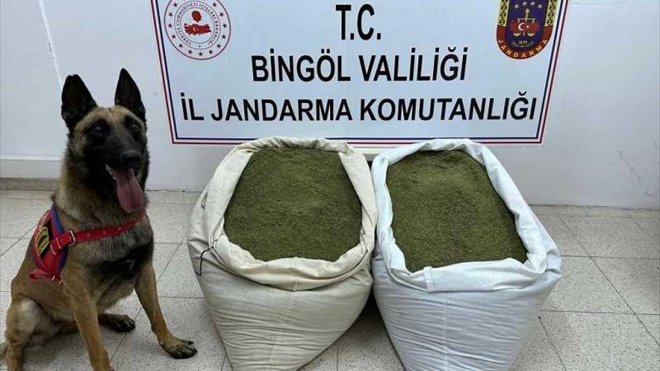 Bingöl