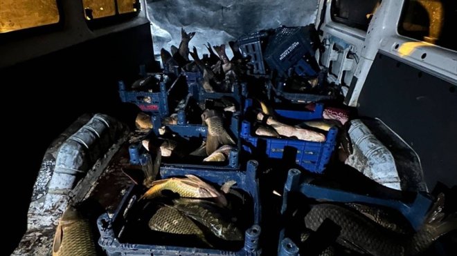 Elazığ'da kaçak avlanan 1 ton balık yakalandı