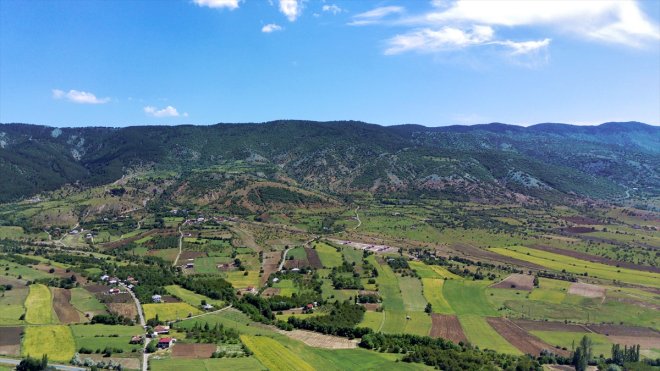 ELAZIĞ - Orman varlığında 20 yıldaki artış Ağın ilçesinin yüz ölçümünü aştı1