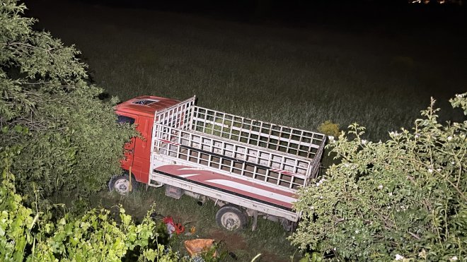 Elazığ'da şarampole devrilen kamyonetteki 4 kişi yaralandı