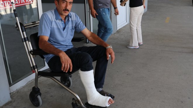 Erzurum, Ağrı ve Ardahan'da 'acemi kasaplar' hastanelik oldu