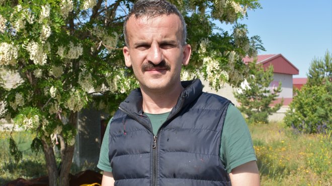 Erzurum'da arıların hırçınlaştırdığı büyükbaş hayvan sakinleştirici iğneyle kesildi