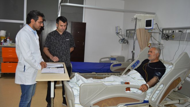 Doğadan toplanan zehirli mantar tüketimi acil servisleri meşgul ediyor