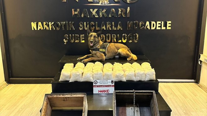 Hakkari'de arı kovanlarının içinde 46 kilo 100 gram sentetik uyuşturucu ele geçirildi
