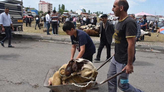 Doğu Anadolu'daki hayvan pazarlarında arife yoğunluğu yaşanıyor
