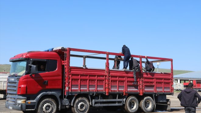 Kars'taki canlı hayvan pazarında kurban hareketliliği