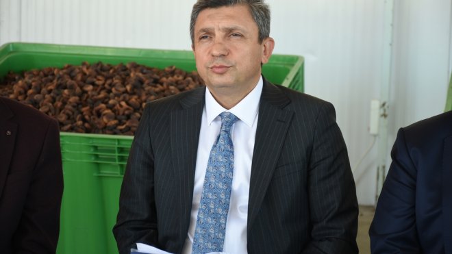 Malatya'da 385 bin ton yaş kayısı rekoltesi bekleniyor